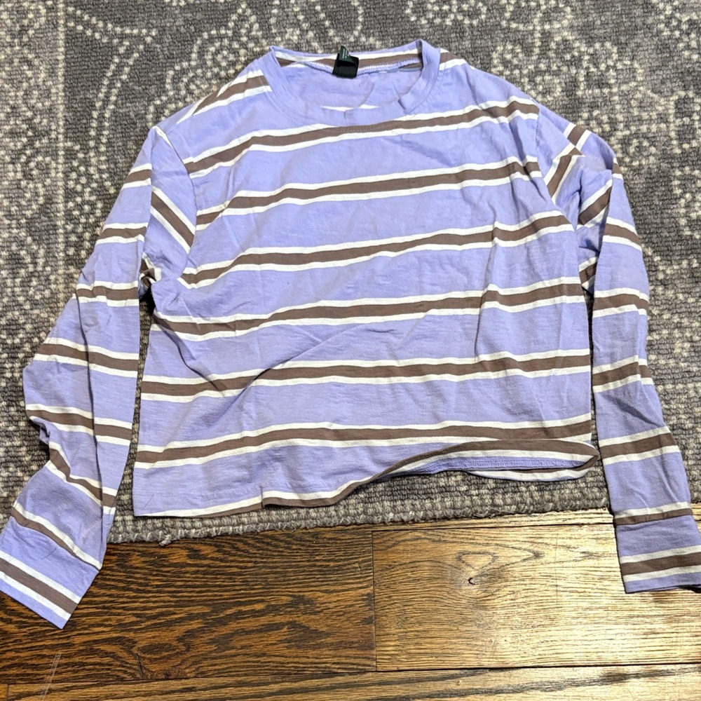 Wild Fable Lavender and Brown Striped Long Sleeve Top